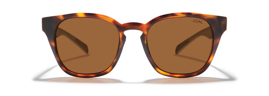 Copper Windsor Matte Tortoise